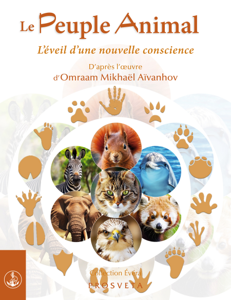 media/ebook/12849473_1c6274i5_0