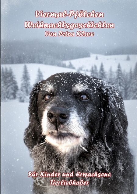 media/ebook/12854386_10y51kt3_0