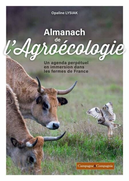 media/ebook/12866160_1frewci3_0