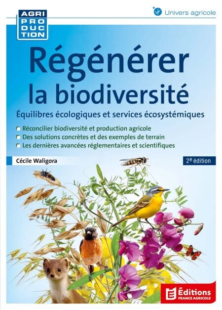 media/ebook/12866198_snwr4w0h_0