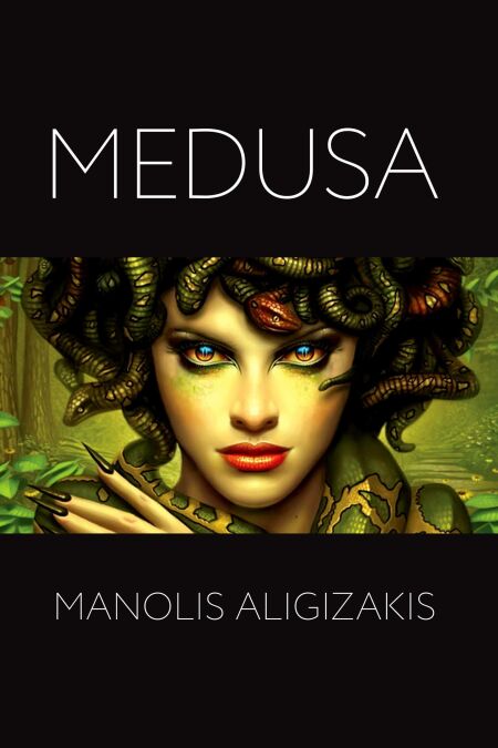 media/ebook/12888190_image_type_product_shot_VIVLIO_1_FR