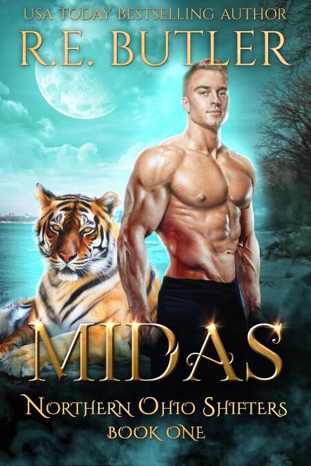 media/ebook/12905834_hetbr1nf_0