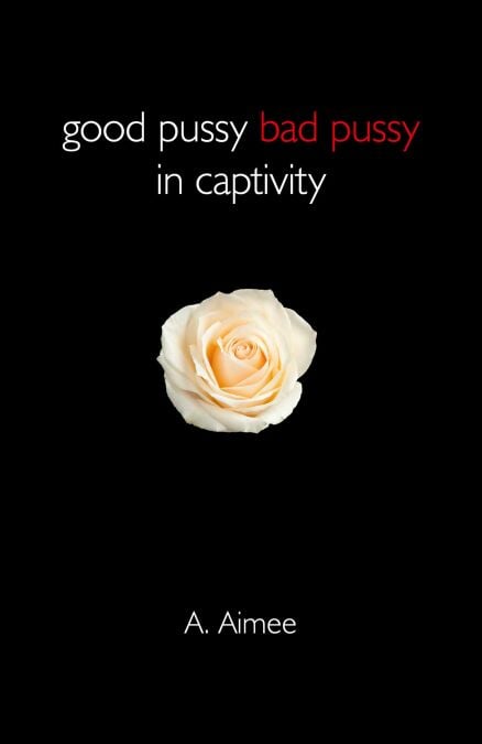 media/ebook/12907207_bmhsaviz_0