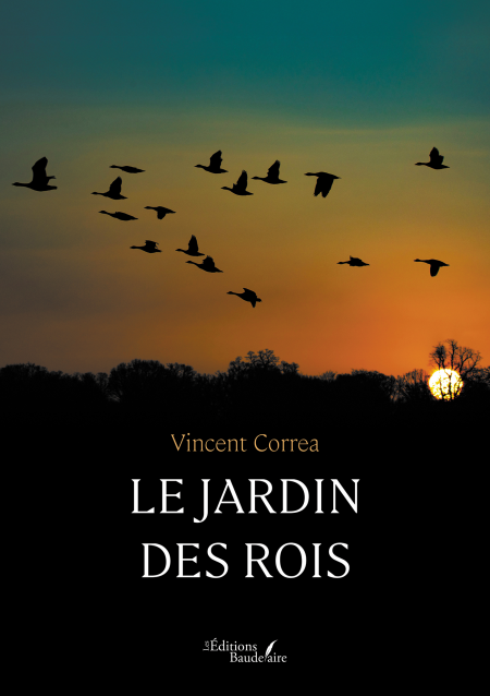 media/ebook/12917604_11enbqro_0