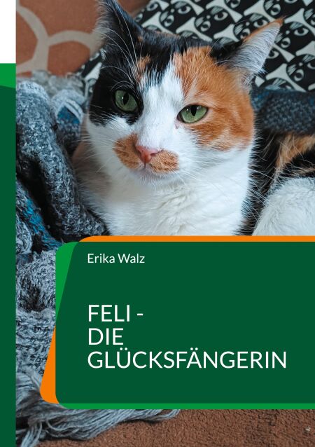 media/ebook/12920489_nat0rqv8_0