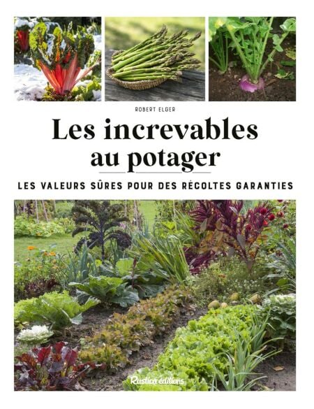 media/ebook/12932218_5jw9tb00_0