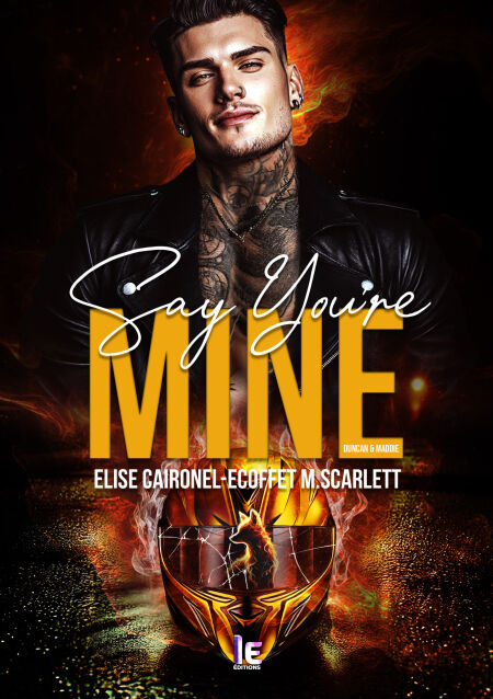 media/ebook/12937180_144y7wwm_0