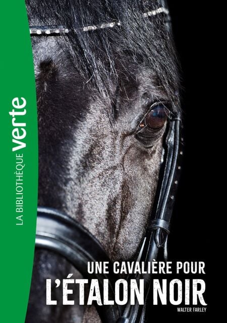 media/ebook/12942098_1r0gfkmo_0