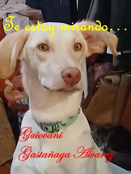 media/ebook/12948615_1fcyfrep_0