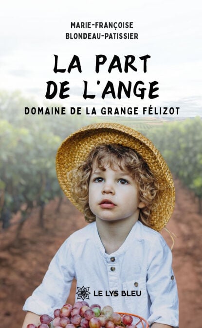 media/ebook/12951203_1fdjgmrz_0