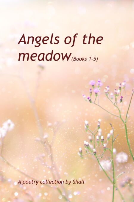 media/ebook/12957024_1cu43uhb_0