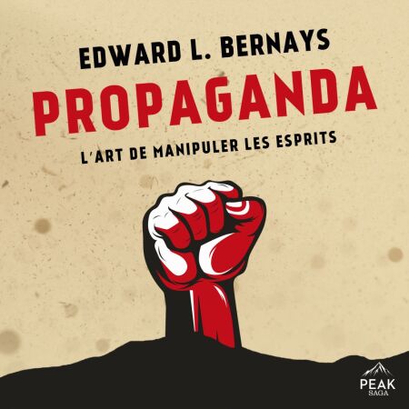 media/ebook/12961281_dqwvxflv_0
