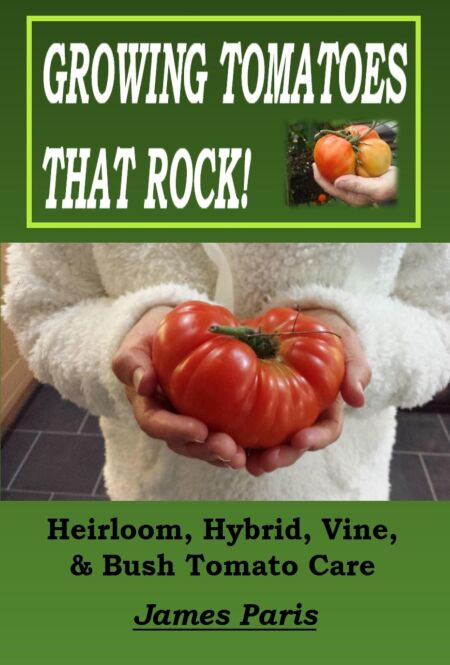 media/ebook/12963502_rva0ggb1_0