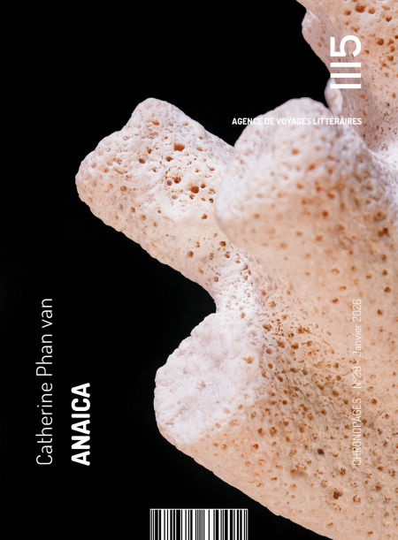 media/ebook/12963951_gdiaxw3g_0