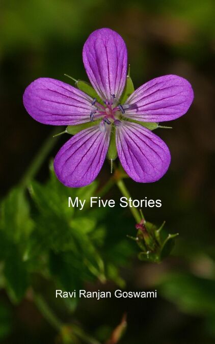 media/ebook/12963968_1lp8aaym_0
