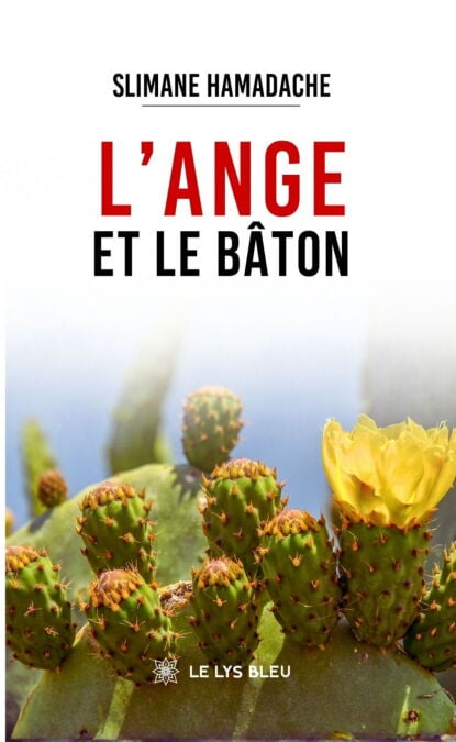 media/ebook/12970811_16cer8xi_0