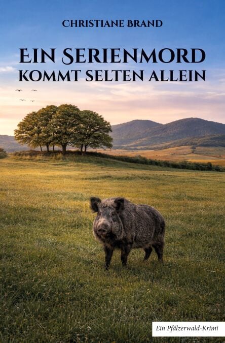 media/ebook/12972140_132t39m0_0