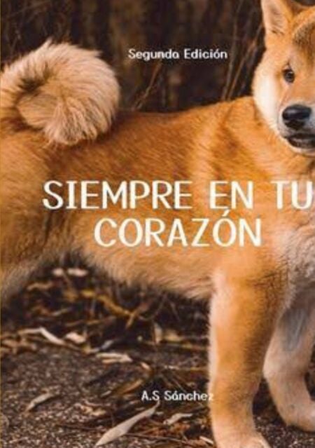 media/ebook/12979400_vux597iw_0