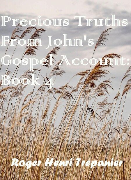 media/ebook/12982767_1v72dmd2_0