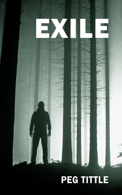 media/ebook/12985166_119lk0m9_0