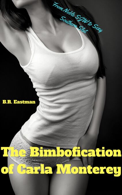 media/ebook/12986830_3sligjwk_0