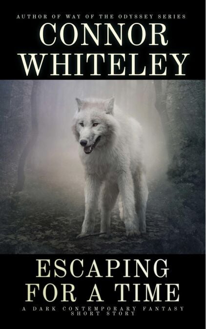 media/ebook/12991667_1h6gfth2_0