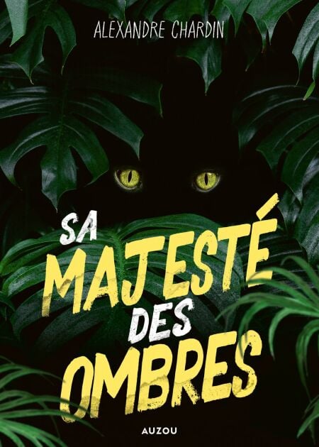 media/ebook/12993827_1ummamlo_0