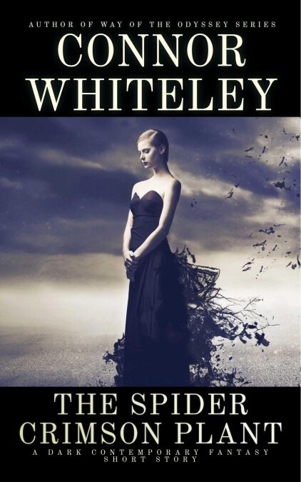 media/ebook/12994242_1wjwkfqt_0