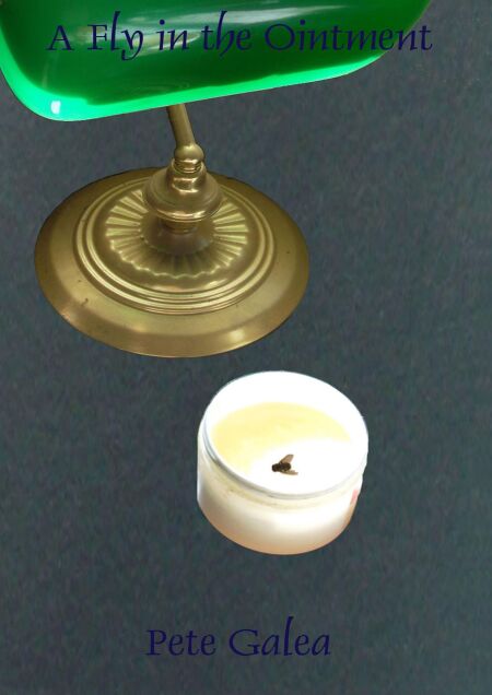 media/ebook/12994906_9nkvrkxh_0