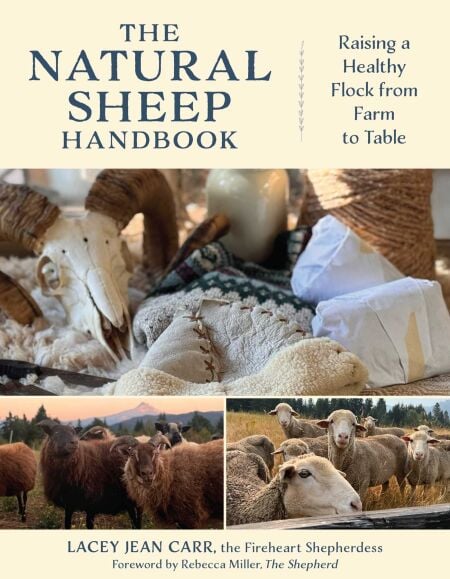 media/ebook/12997232_65cll3ut_0
