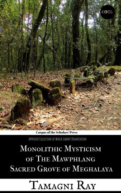 media/ebook/12998245_vkuls6f0_0