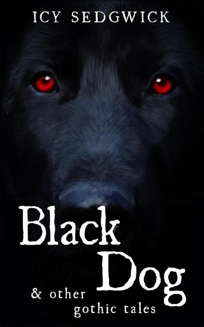 media/ebook/12999732_1r4kxd5l_0