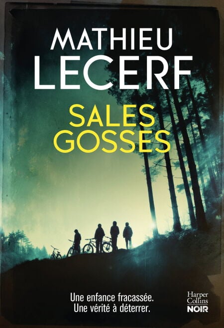media/ebook/13005326_qilpp0h2_0