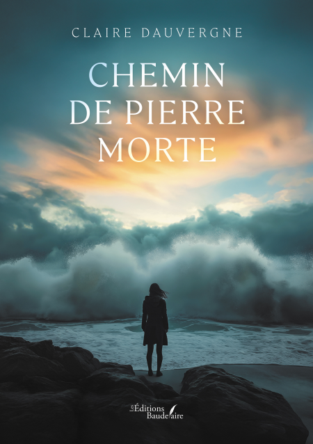 media/ebook/13012741_rxa4wck1_0
