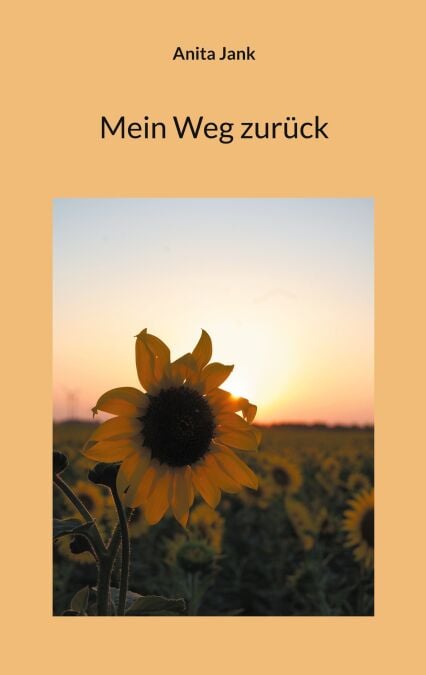 media/ebook/13012945_1mc154lc_0
