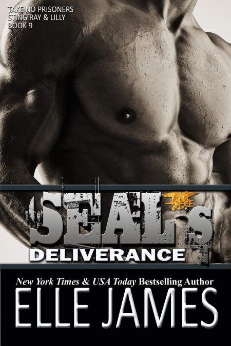 media/ebook/13023364_khfa8odv_0