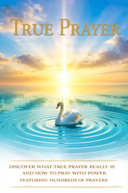 media/ebook/13031768_g31695f0_0