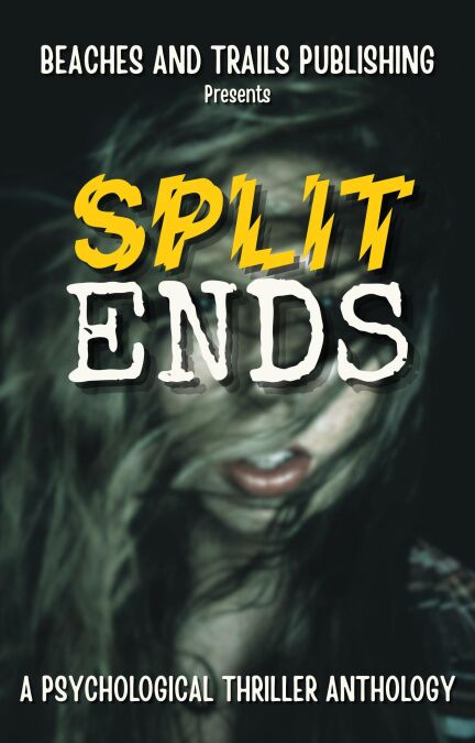 media/ebook/13031842_d7wop0hx_0