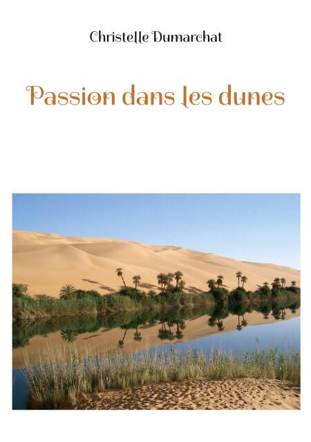media/ebook/13040619_1auyd9pb_0
