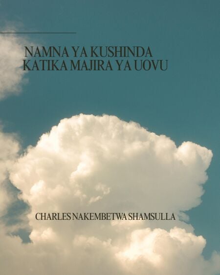 media/ebook/13046854_1m9gnyyw_0