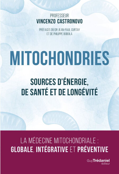 media/ebook/13047464_1vxeutge_0