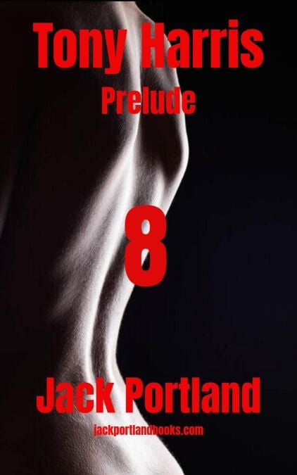 media/ebook/13053772_tlnihl5y_0