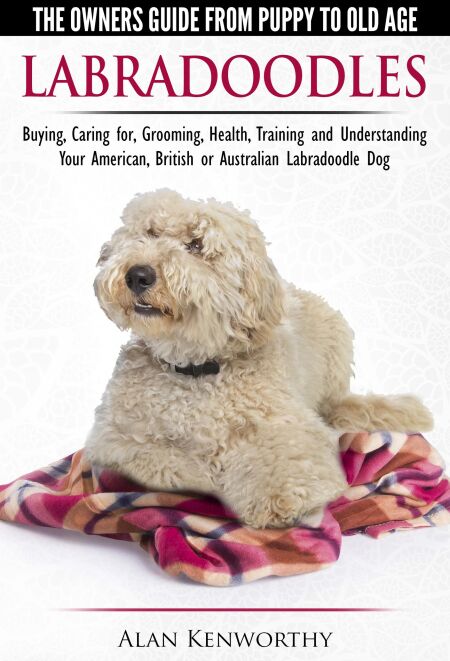 Labradoodles - The Owners Guide from Puppy to Old Age for Your American ...