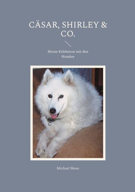 media/ebook/13057161_ab0h6le4_0