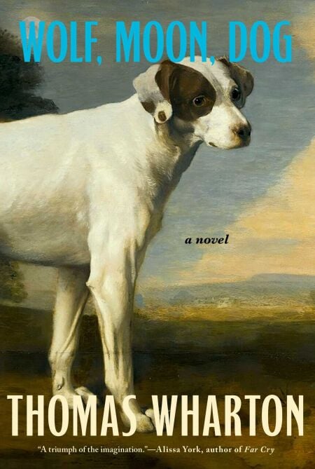 media/ebook/13057260_1t80mqi2_0