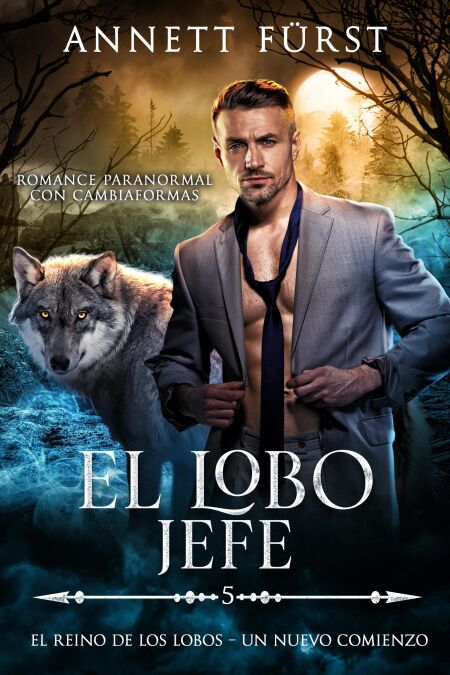 media/ebook/13062040_dyviotok_0