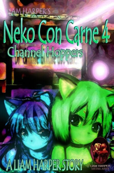 media/ebook/13064658_45uqq7m0_0
