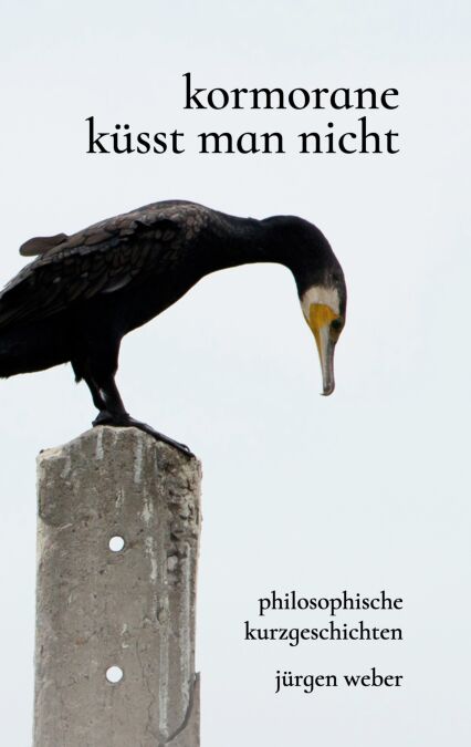 media/ebook/13073213_1cydvraw_0