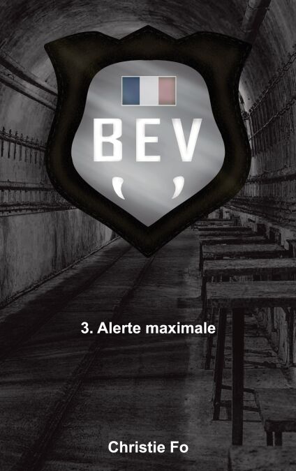 media/ebook/13075727_8acki5u4_0
