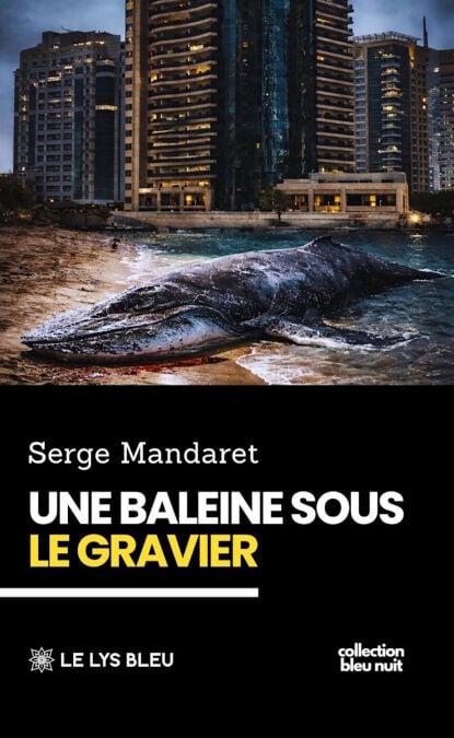 media/ebook/13079301_1o3ur8bz_0